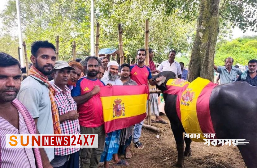 স্পেন-আর্জেন্টিনা ফাইনাল ঘিরে মহিষ ভোজের আয়োজন