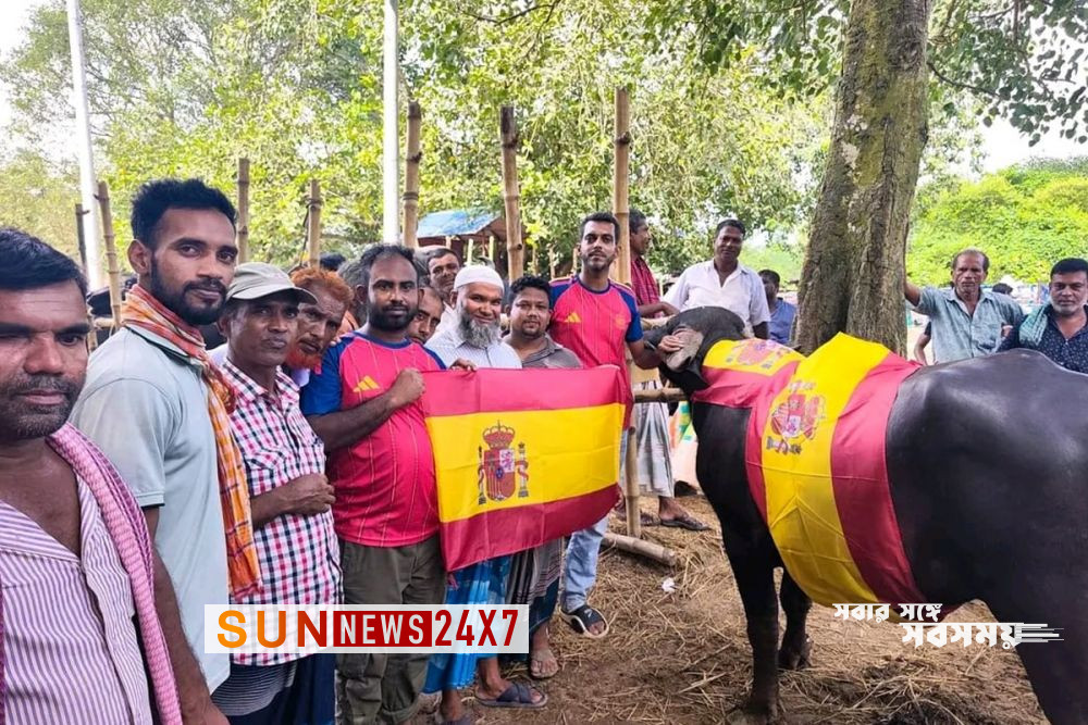 স্পেন-আর্জেন্টিনা ফাইনাল ঘিরে মহিষ ভোজের আয়োজন