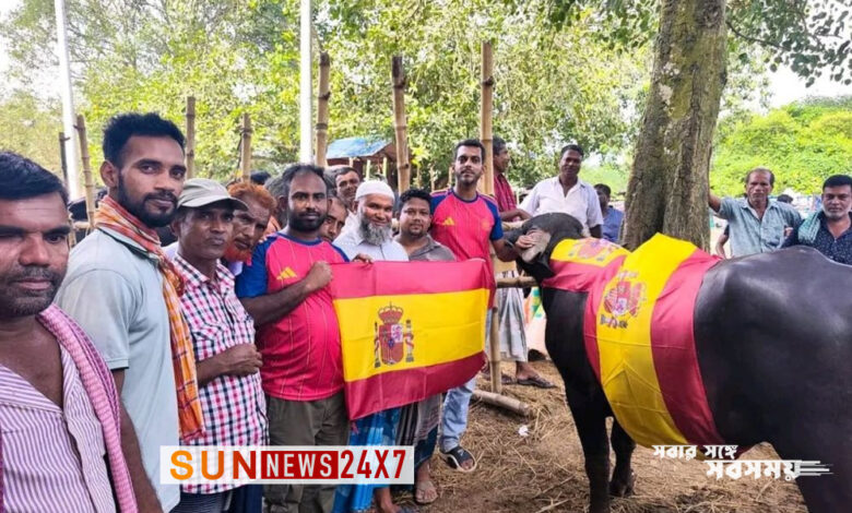 স্পেন-আর্জেন্টিনা ফাইনাল ঘিরে মহিষ ভোজের আয়োজন