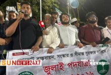 সরকার বিদ্যুৎ না দিয়ে মোমবাতি আর হারিকেন দিয়েছে: হাসনাত  