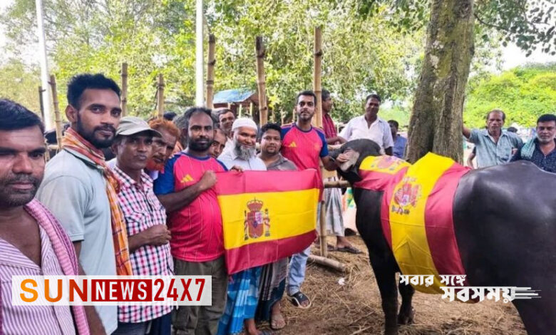 স্পেন-আর্জেন্টিনা ফাইনাল ঘিরে মহিষ ভোজের আয়োজন