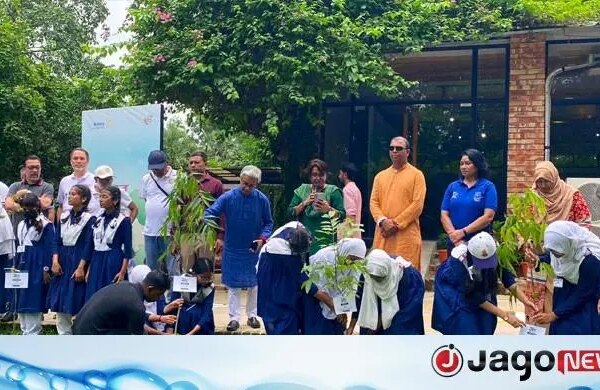 স্মৃতির শোক ভুলে সবুজের ছায়ায় নতুন জীবনের পথে মাইলস্টোনের শিক্ষার্থীরা