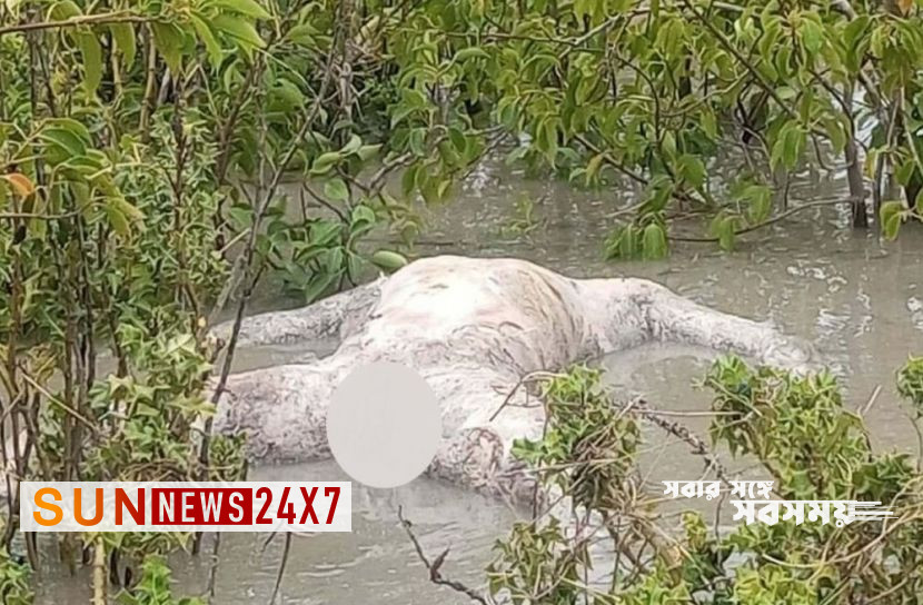 হাতিয়াতে জোয়ারে ভেসে আসা মরদেহ পড়ে রইল কেওড়া বাগানে